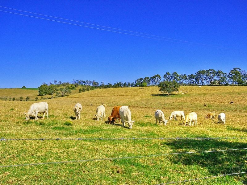 140 Hazlemount Lane, Lismore NSW 2480