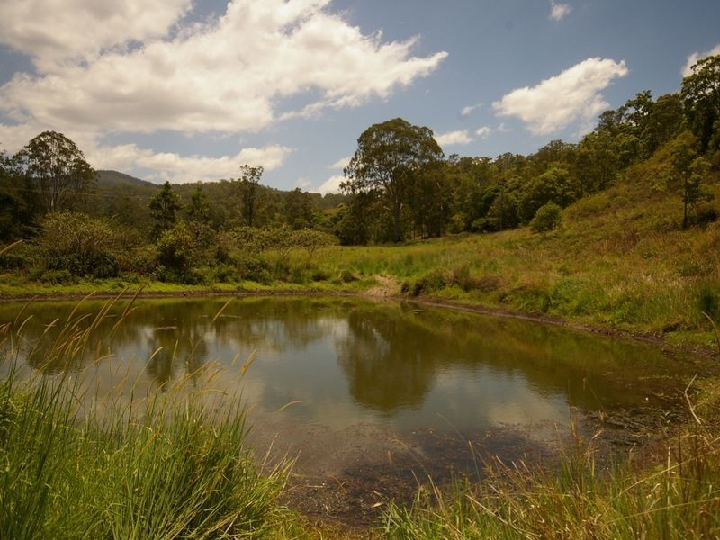 Lot 14 Boorabee Creek Road, Afterlee NSW 2474