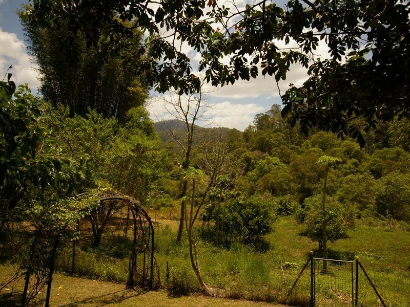 Lot 14 Boorabee Creek Road, Afterlee NSW 2474