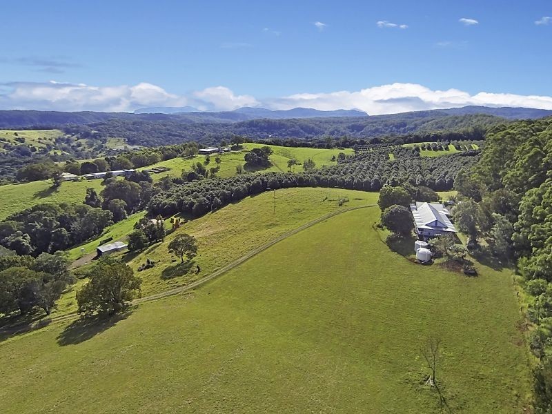 35 Starkey Road, Whian Whian NSW 2480