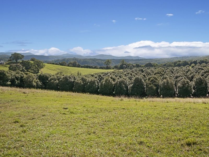 35 Starkey Road, Whian Whian NSW 2480