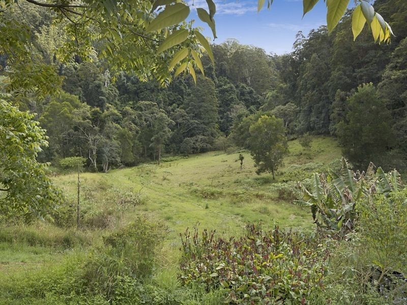 784 Whian Whian Road, Whian Whian NSW 2480