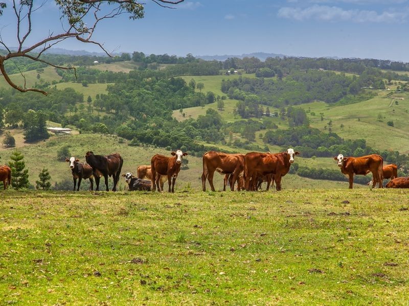 708 Dunoon Road, Tullera NSW 2480