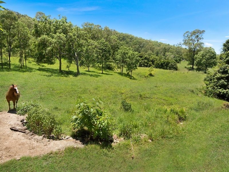 352 Quilty Road, Rock Valley NSW 2480