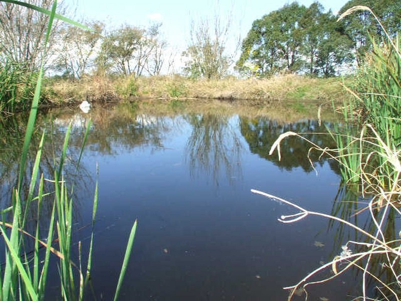 15 Droneys Bridge Road, Fairy Hill NSW 2470