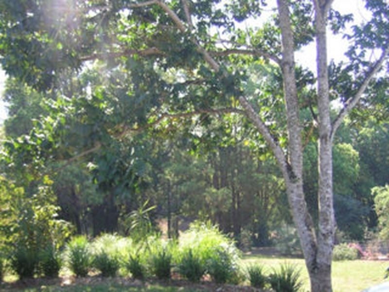 1 Fletchers Road, Dunoon NSW 2480