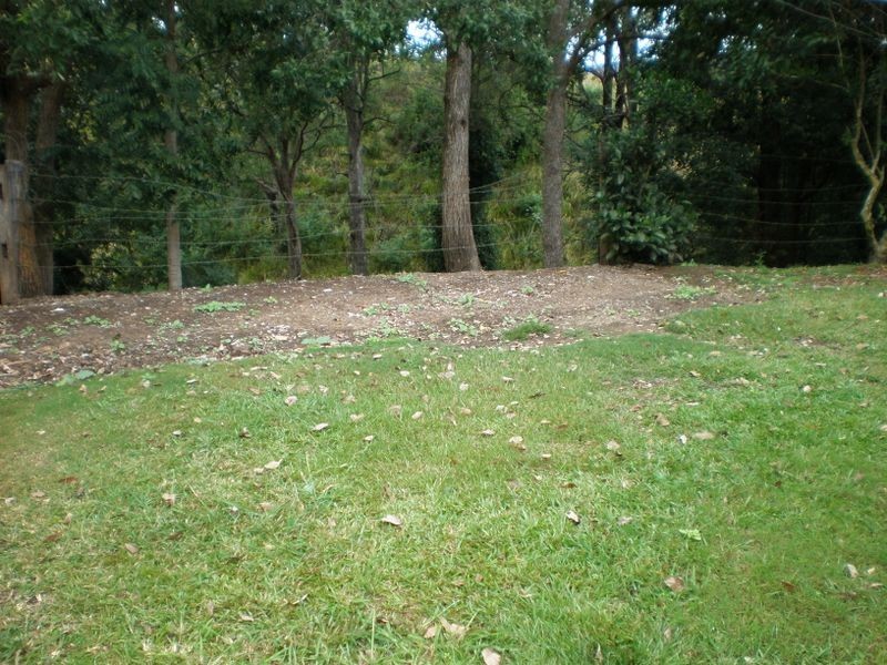 110 Chelmsford Road, Rock Valley NSW 2480