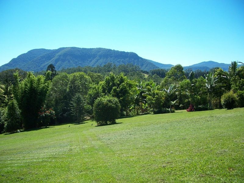 297 Stanger Road, Bentley NSW 2480