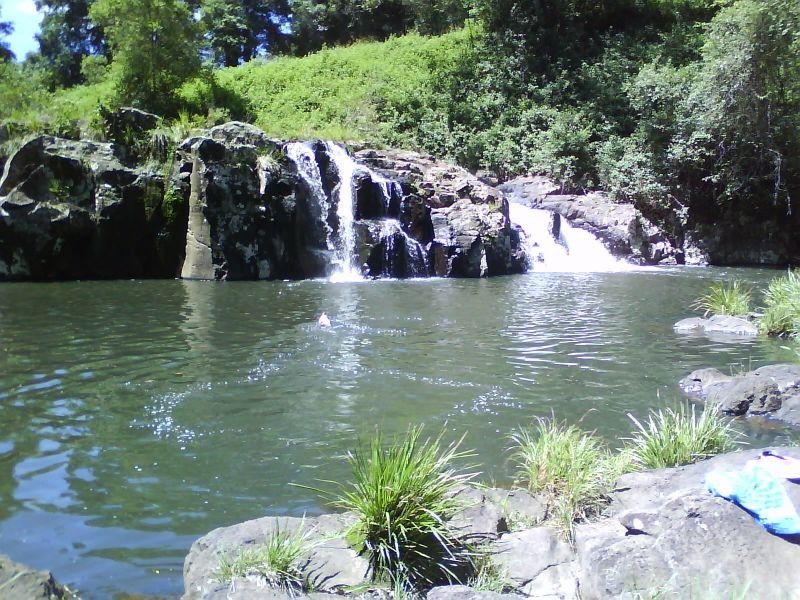 874 Terania Creek Road, The Channon NSW 2480