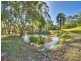 184 Gungas Road, Nimbin NSW 2480