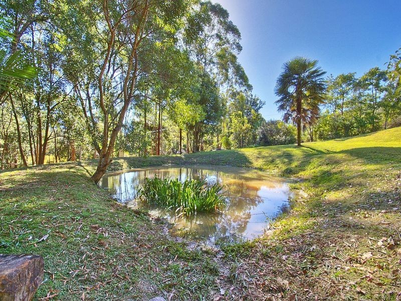 184 Gungas Road, Nimbin NSW 2480