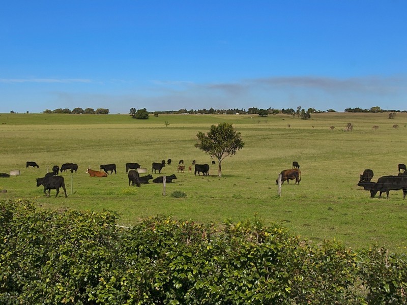 1388 Bruxner Highway, Mckees Hill NSW 2480