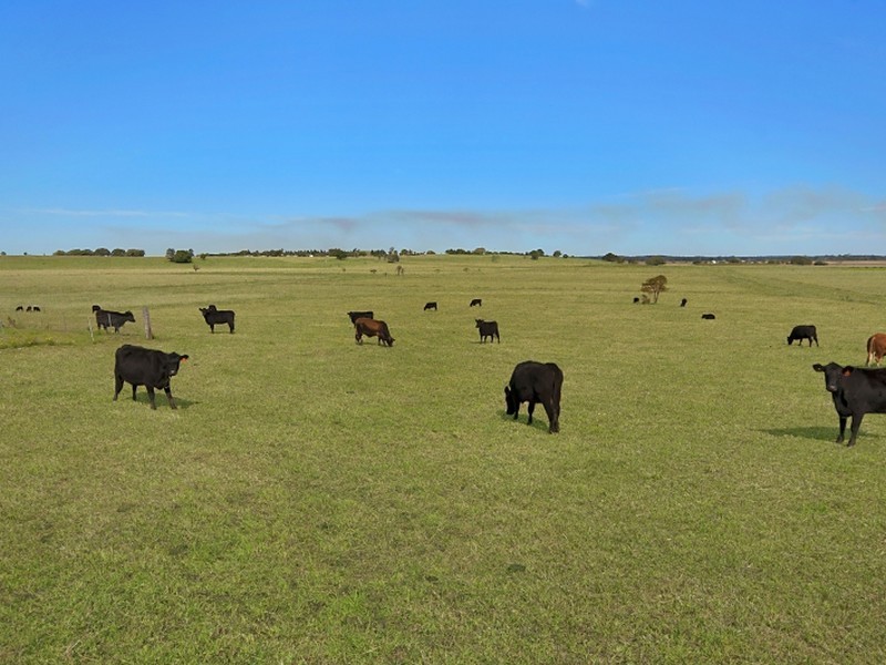 1388 Bruxner Highway, Mckees Hill NSW 2480