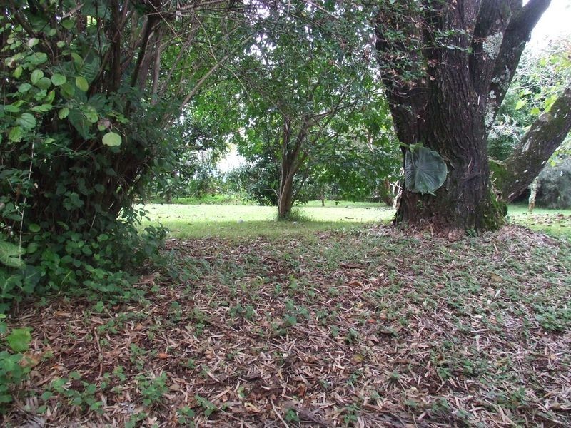 54 James Street, Dunoon NSW 2480