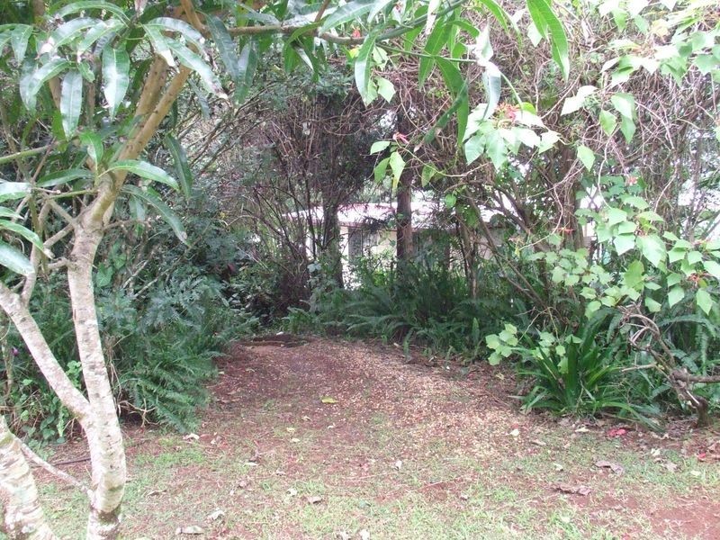 54 James Street, Dunoon NSW 2480