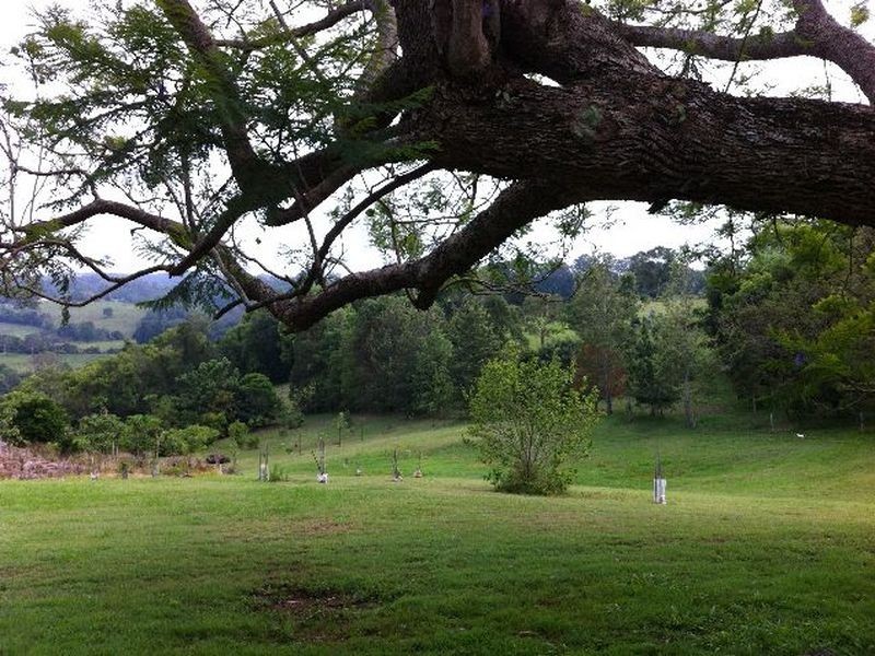 320 Dunoon Rd, Lismore NSW 2480