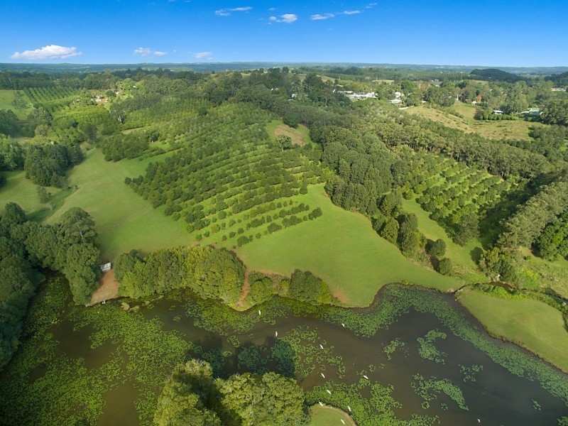 1555 Dunoon Road, Dunoon NSW 2480