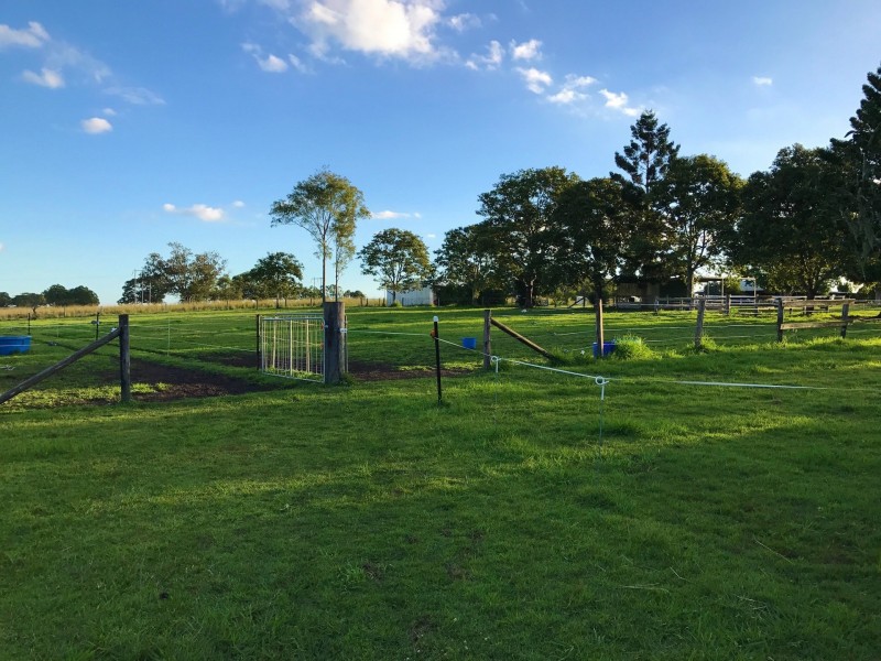 1095 Rogerson Road, Mckees Hill NSW 2480