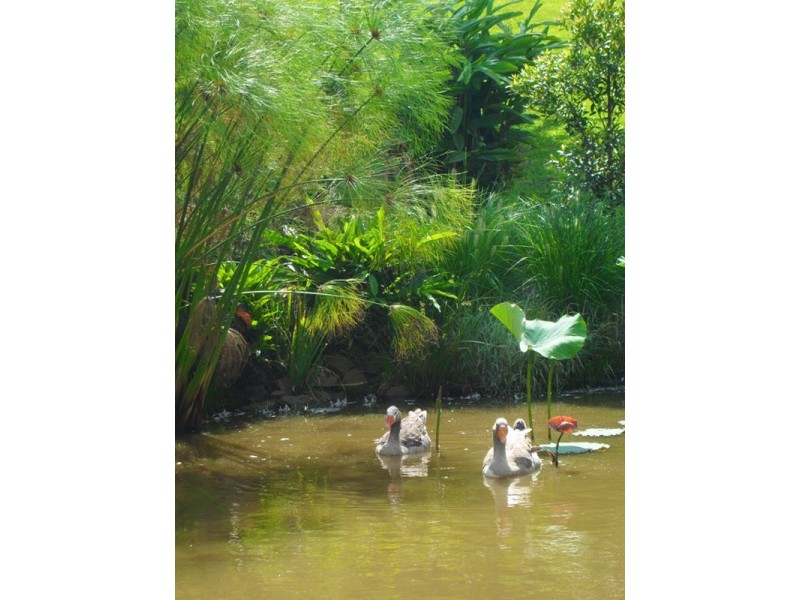 23 Whispering Valley Drive, Richmond Hill NSW 2480