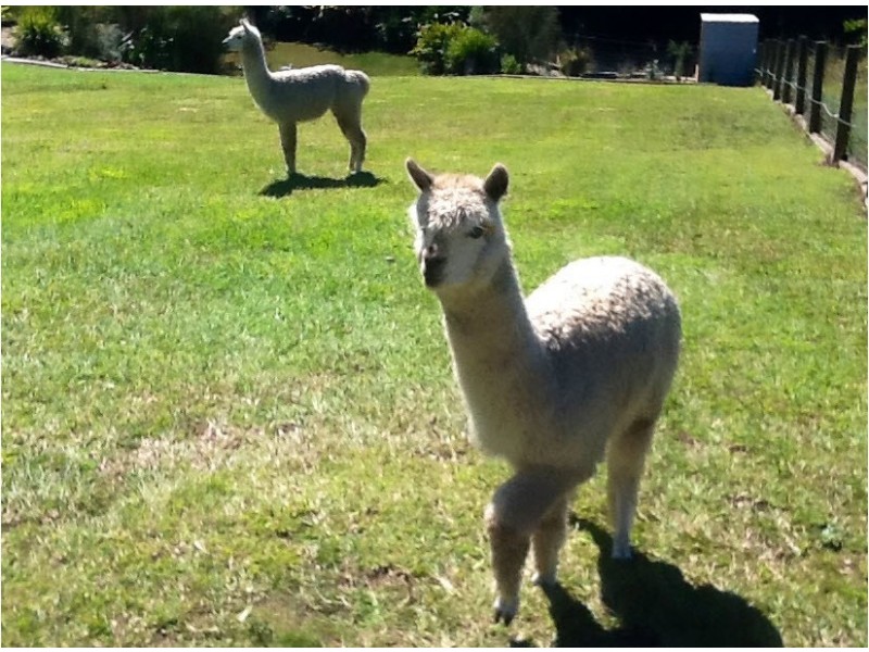 23 Whispering Valley Drive, Richmond Hill NSW 2480