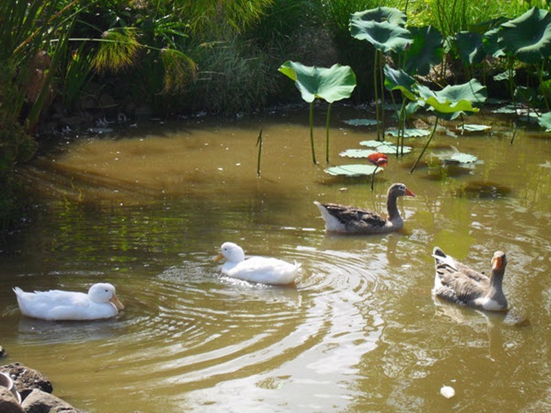 23 Whispering Valley Drive, Richmond Hill NSW 2480