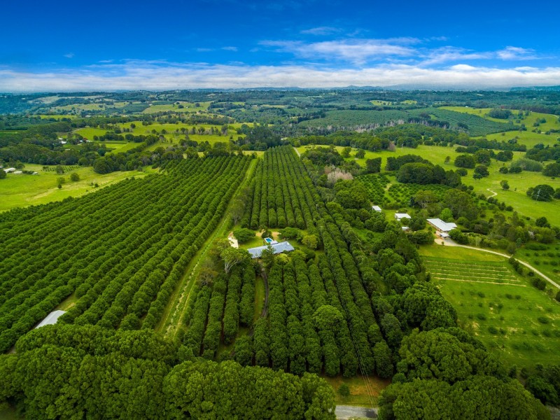 59 Weis Lane, Rous NSW 2477