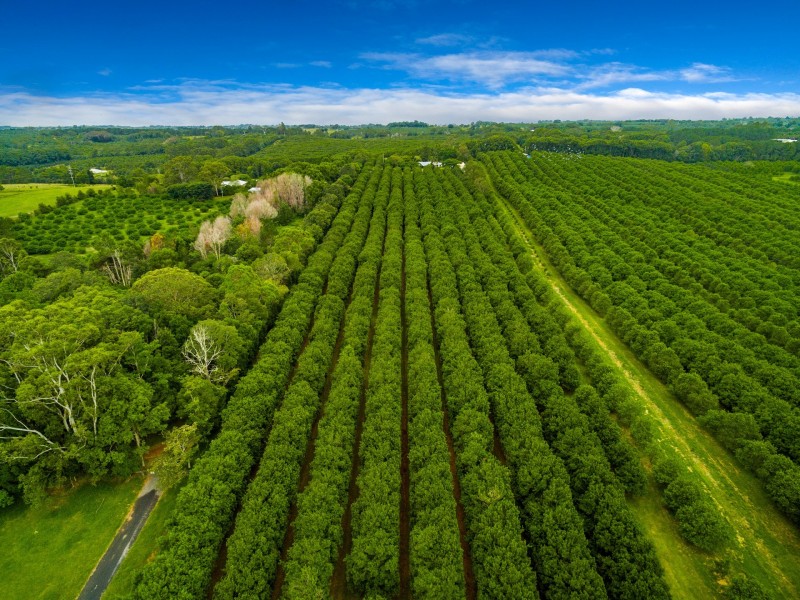 59 Weis Lane, Rous NSW 2477