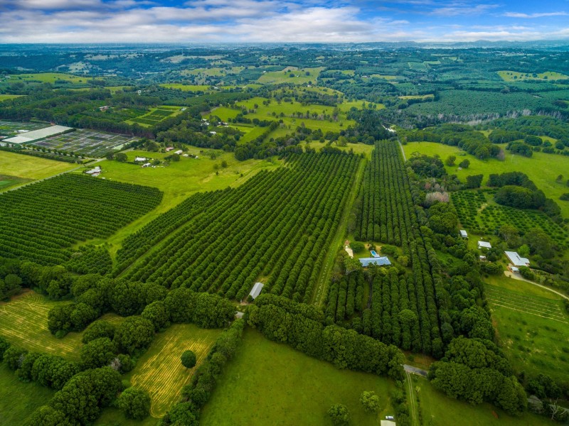 59 Weis Lane, Rous NSW 2477