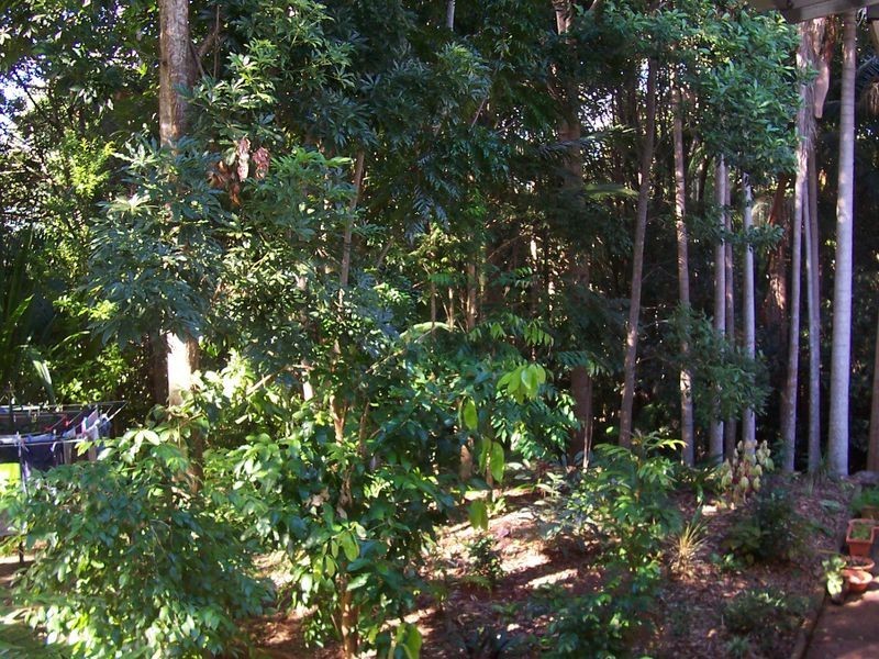 10 Mcintosh Road, Bentley NSW 2480