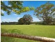 167 Cowlong Road, Mcleans Ridges NSW 2480