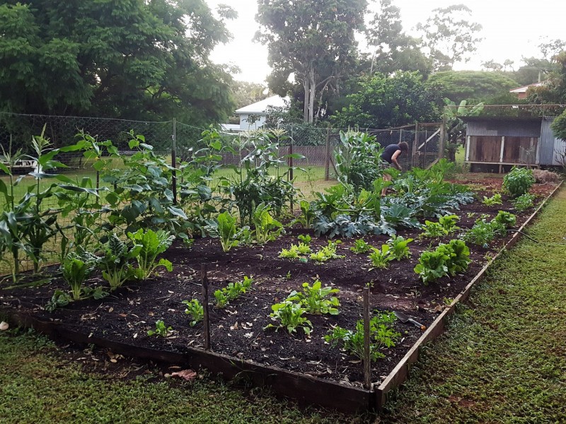 25A Main Street, Clunes NSW 2480