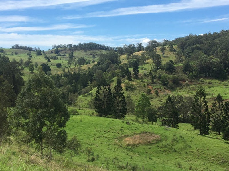 356 Quilty Road, Rock Valley NSW 2480