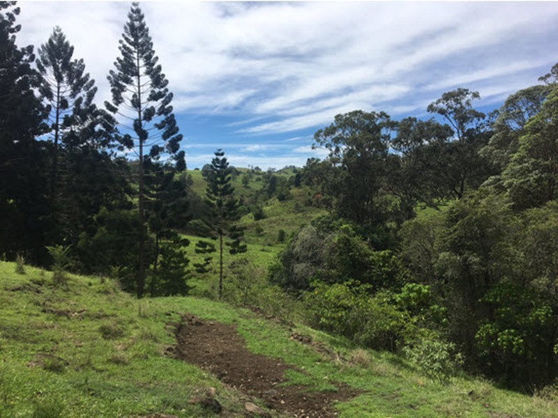 356 Quilty Road, Rock Valley NSW 2480