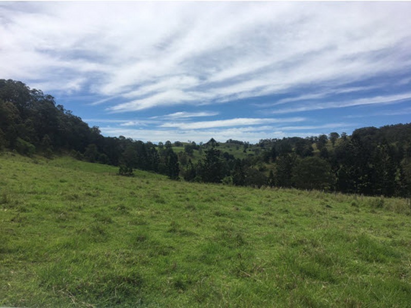 356 Quilty Road, Rock Valley NSW 2480