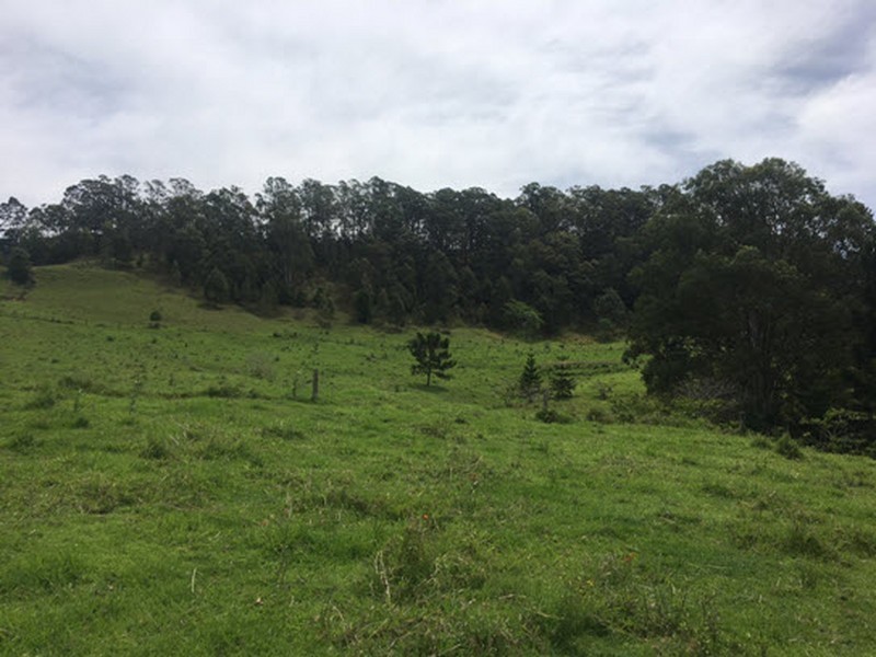 356 Quilty Road, Rock Valley NSW 2480