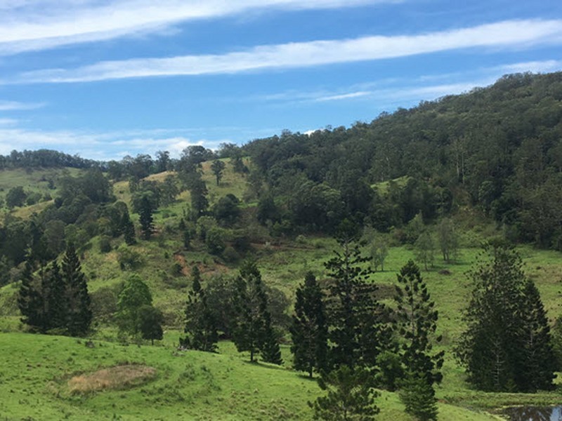 356 Quilty Road, Rock Valley NSW 2480