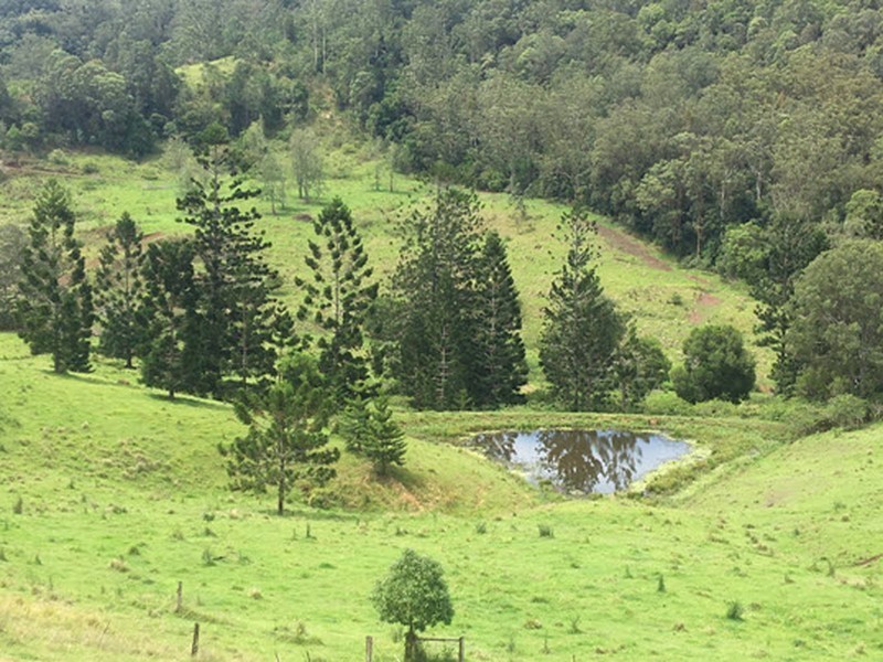 356 Quilty Road, Rock Valley NSW 2480