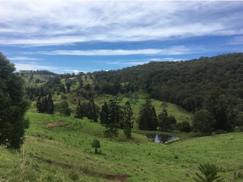 356 Quilty Road, Rock Valley NSW 2480