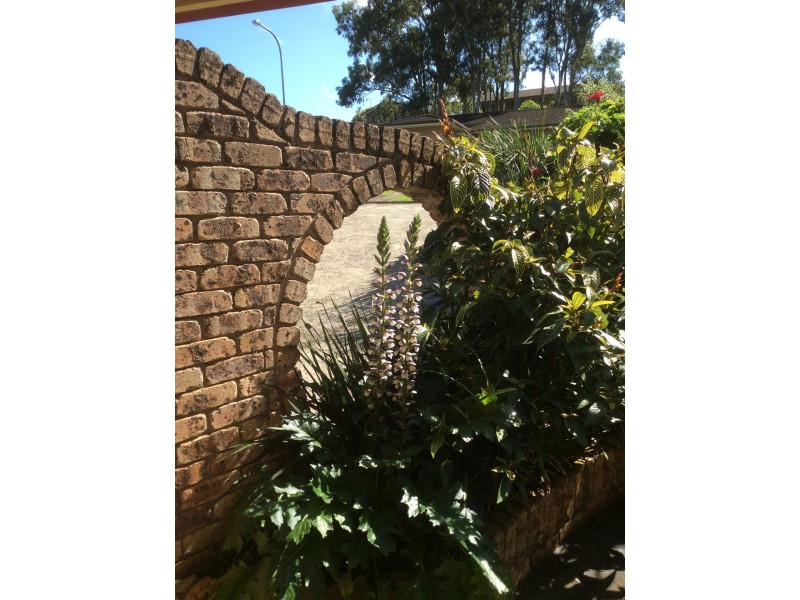 55 Fig Tree Drive, Goonellabah NSW 2480