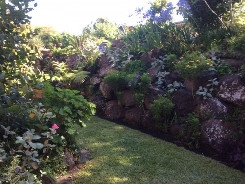 55 Fig Tree Drive, Goonellabah NSW 2480