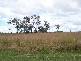 Yorklea NSW 2470