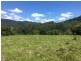 100 Bishops Creek Road, Coffee Camp NSW 2480