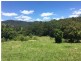 100 Bishops Creek Road, Coffee Camp NSW 2480