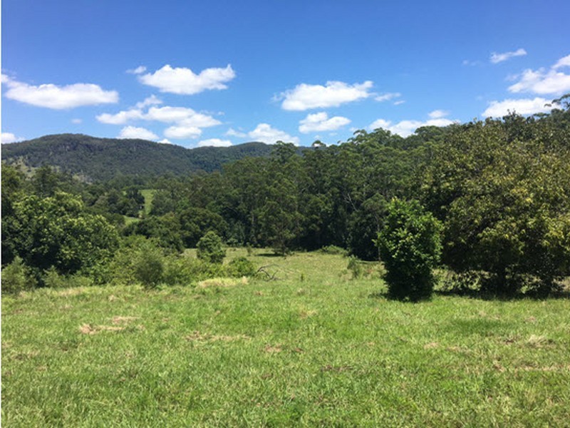 100 Bishops Creek Road, Coffee Camp NSW 2480