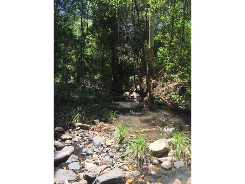 100 Bishops Creek Road, Coffee Camp NSW 2480