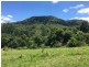 100 Bishops Creek Road, Coffee Camp NSW 2480
