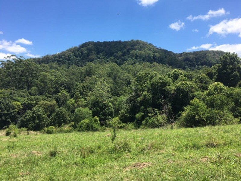 100 Bishops Creek Road, Coffee Camp NSW 2480