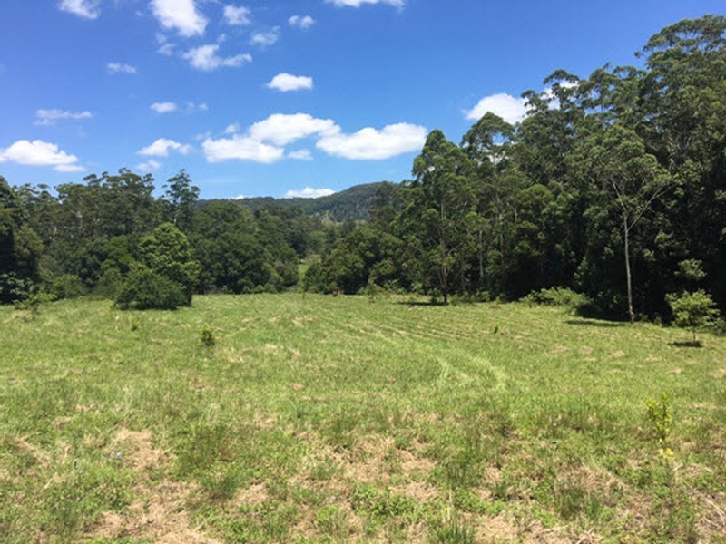 100 Bishops Creek Road, Coffee Camp NSW 2480