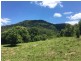 100 Bishops Creek Road, Coffee Camp NSW 2480