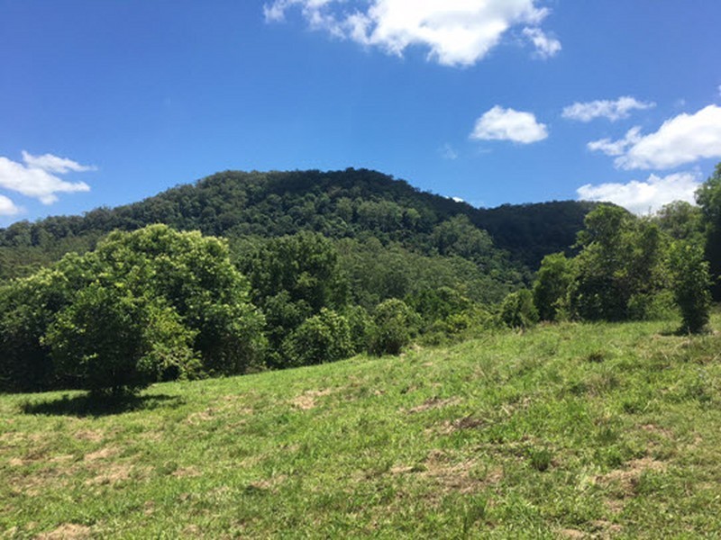 100 Bishops Creek Road, Coffee Camp NSW 2480